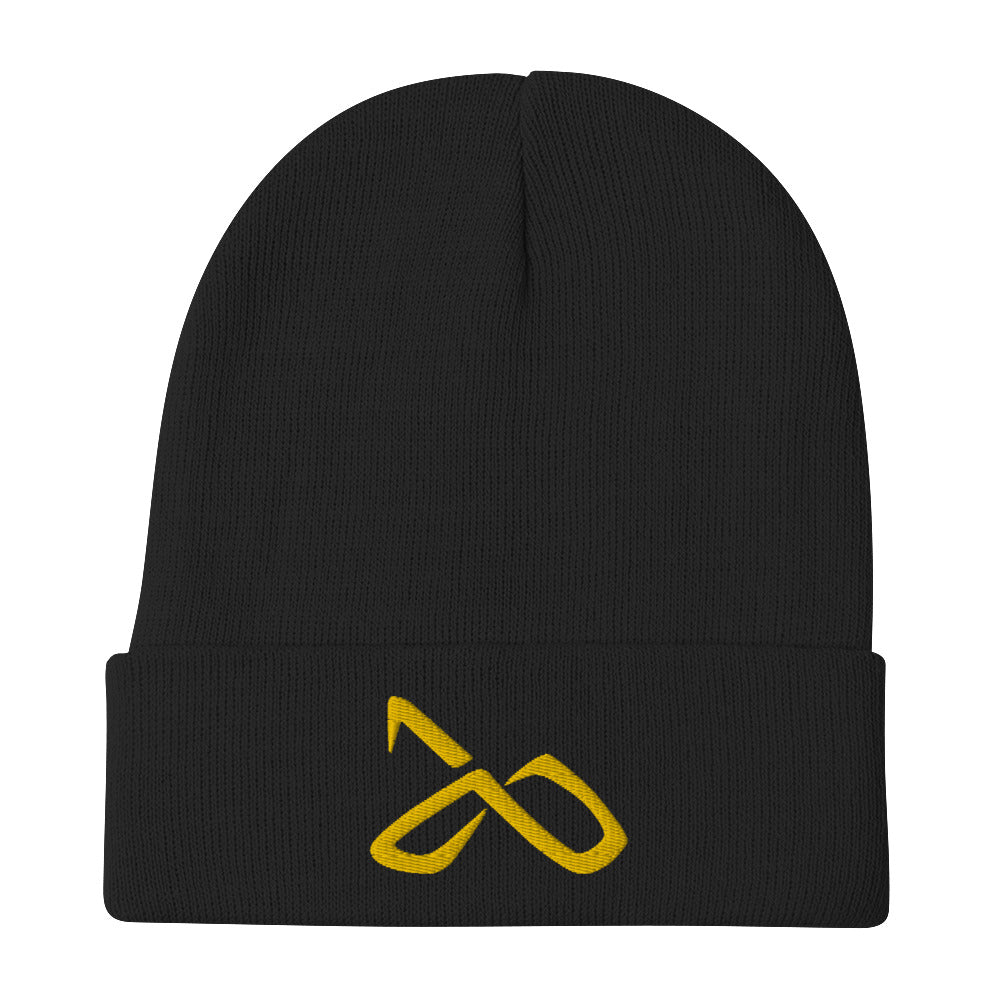 Beyond Measure Beanie